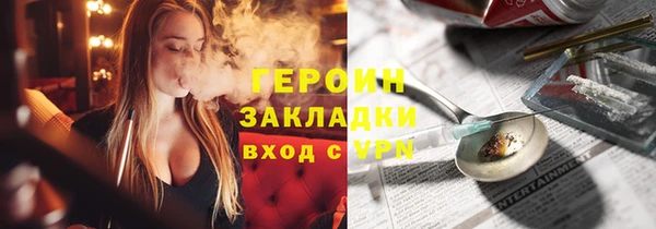 индика Ельня