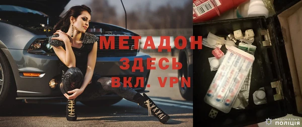 индика Дмитров