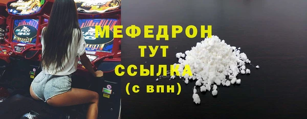 индика Дмитров