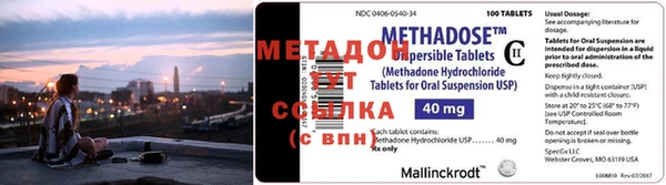 прущие грибы Дмитровск