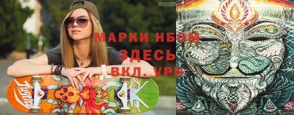 индика Дмитров
