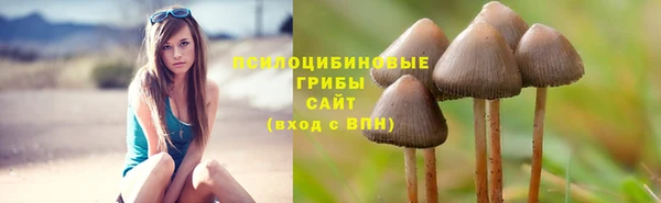 кокаин премиум Елизово