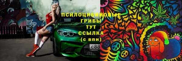 индика Дмитров
