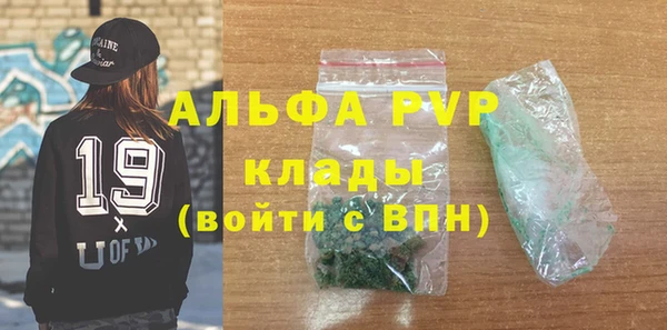 индика Ельня