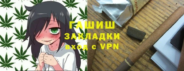 индика Дмитров