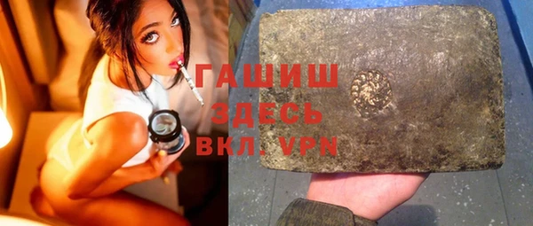 индика Дмитров