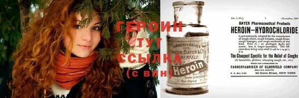 индика Ельня