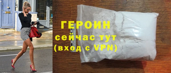 индика Ельня