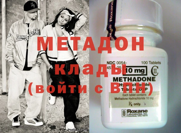 индика Ельня