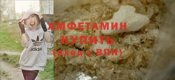 прущие грибы Дмитровск